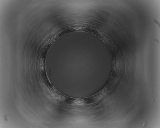 X0000099950606200806061544