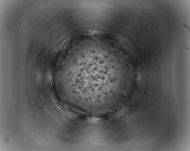 X0000099950607200806061544