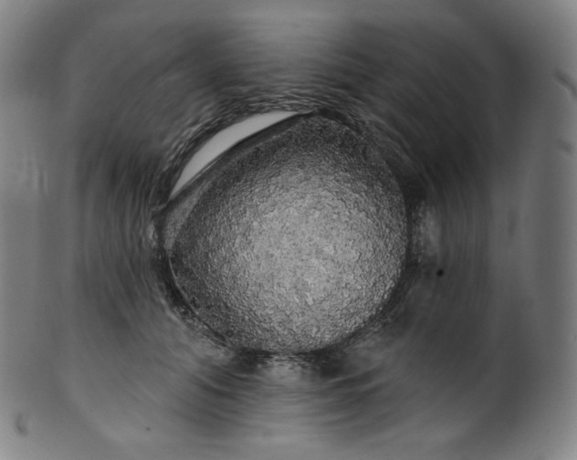 X0000099950608200806061544