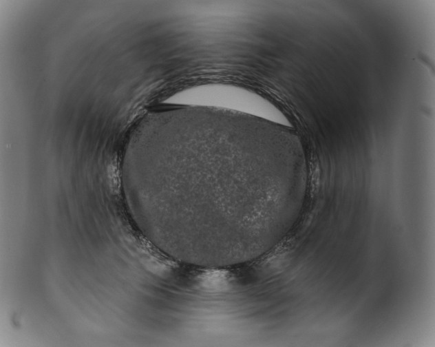 X0000099950609200806061544