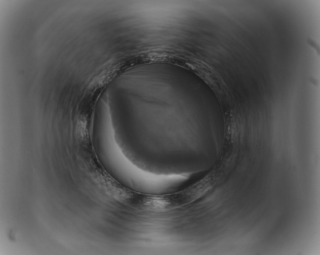 X0000099950610200806061544