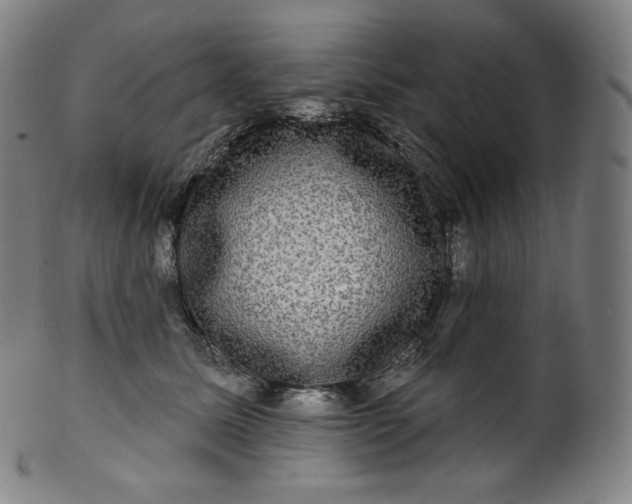 X0000099950611200806061544