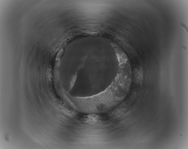 X0000099950612200806061544