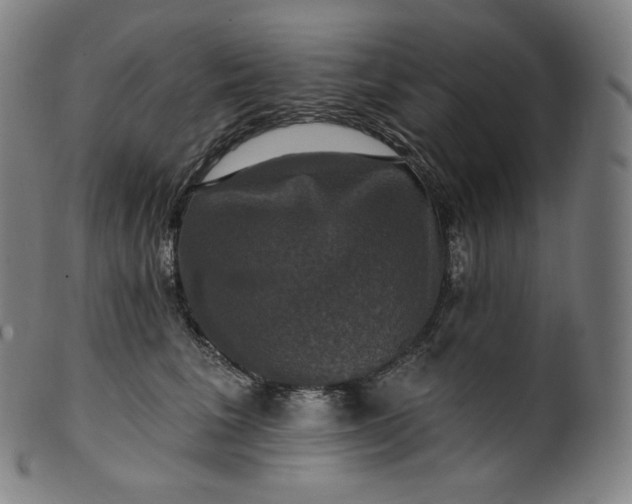 X0000099950613200806061544