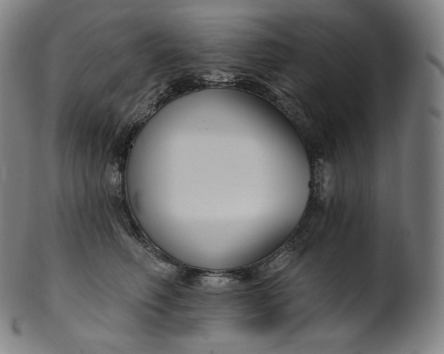 X0000099950614200806061544