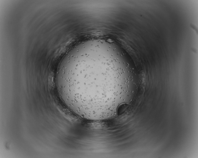 X0000099950615200806061544