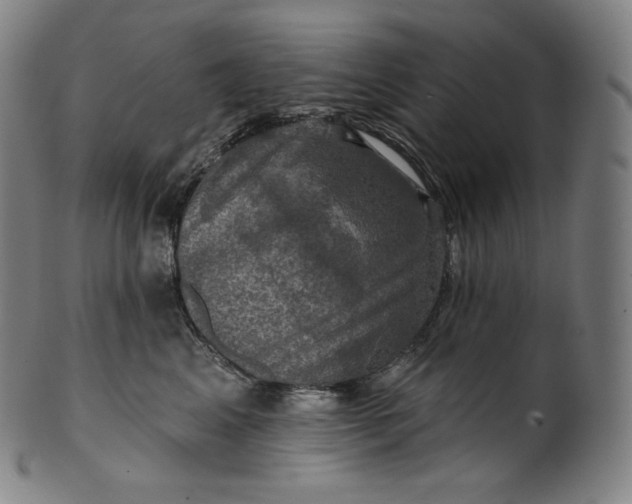 X0000099950617200806061544