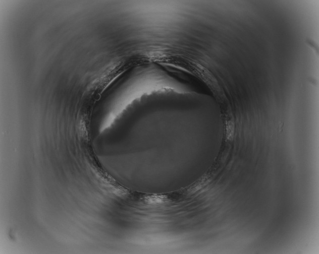 X0000099950618200806061543