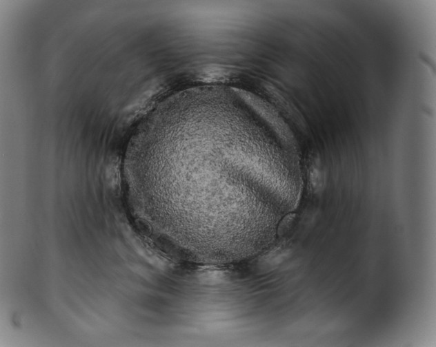 X0000099950620200806061543