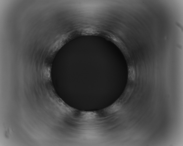 X0000099950621200806061543