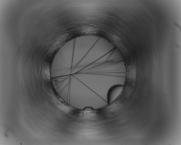 X0000099950622200806061543