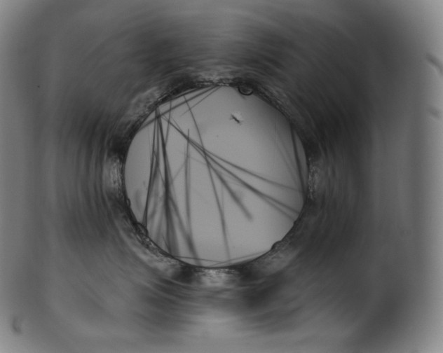 X0000099950623200806061543