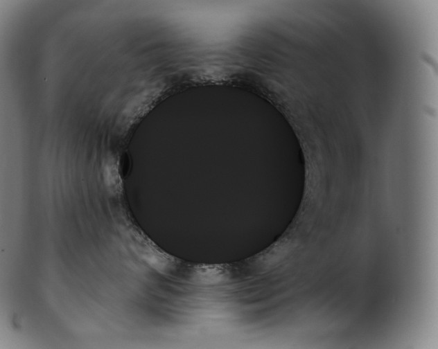 X0000099950624200806061543