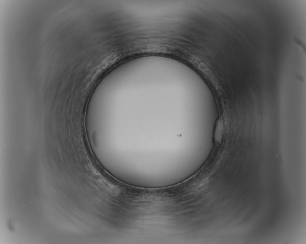 X0000099950625200806061543