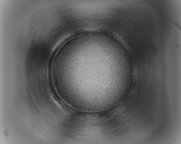 X0000099950626200806061543