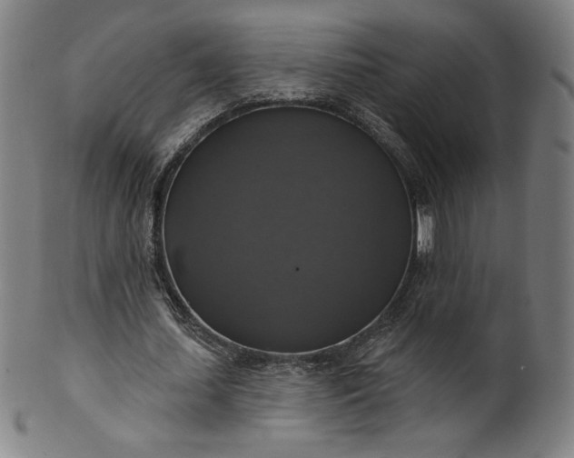 X0000099950627200806061543