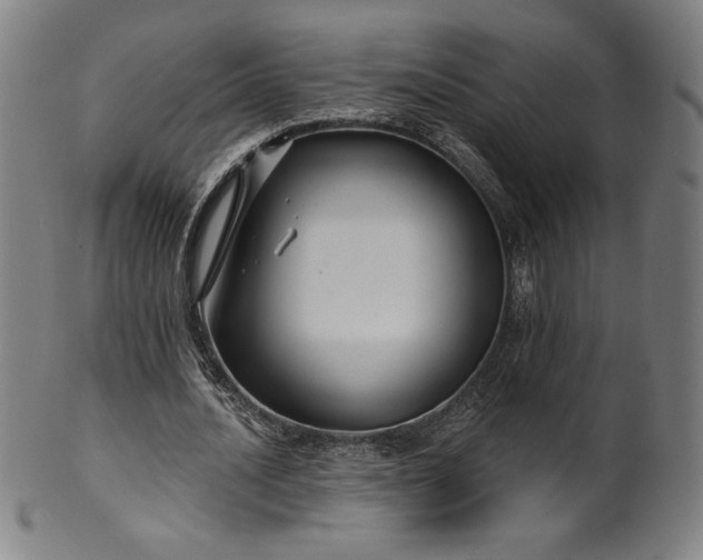 X0000099950628200806061543