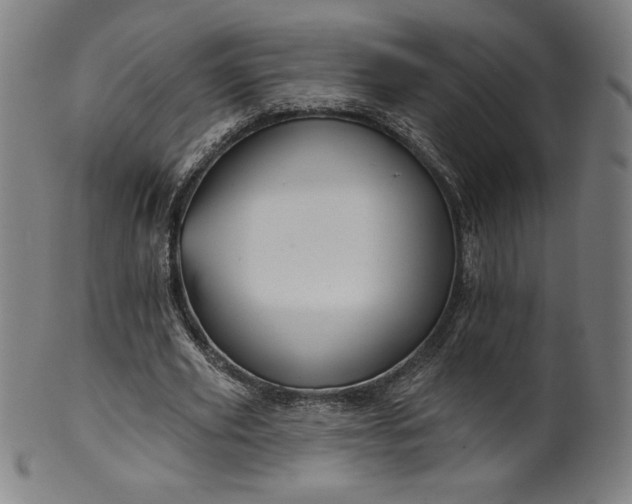 X0000099950629200806061543