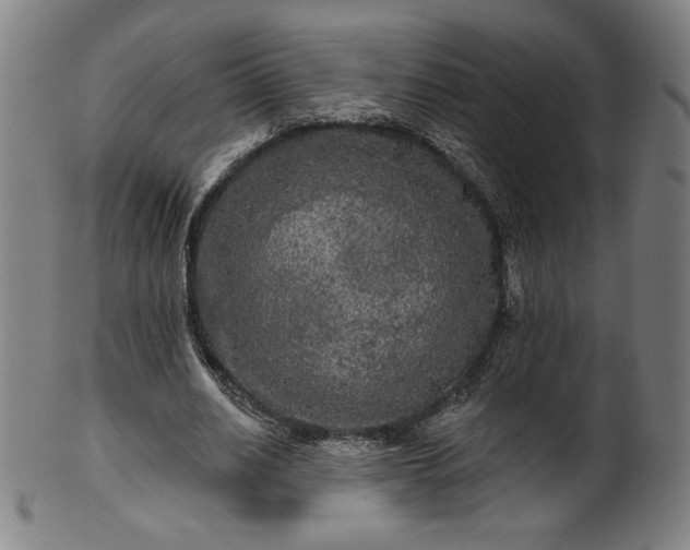 X0000099950630200806061543