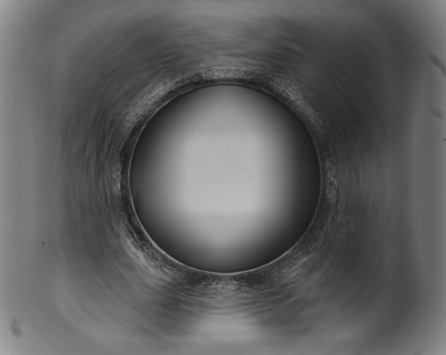 X0000099950631200806061543