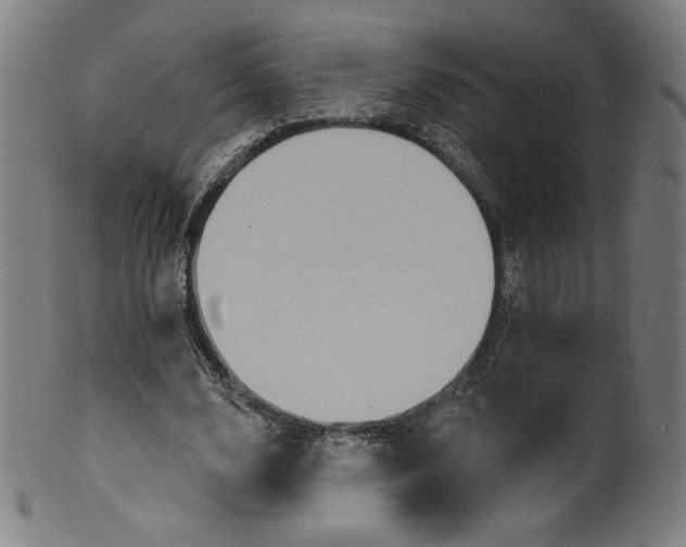 X0000099950632200806061543