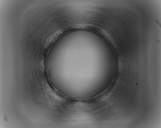 X0000099950633200806061543