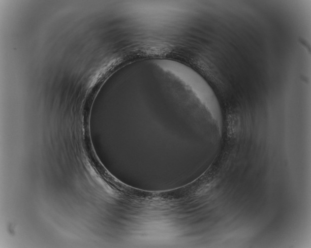 X0000099950634200806061543