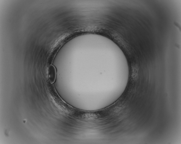 X0000099950636200806061543