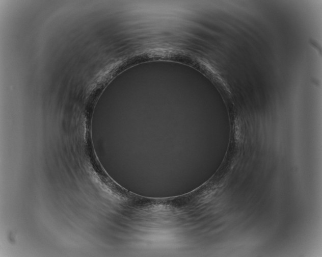 X0000099950637200806061543