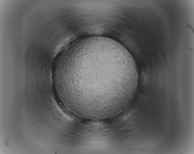 X0000099950638200806061543