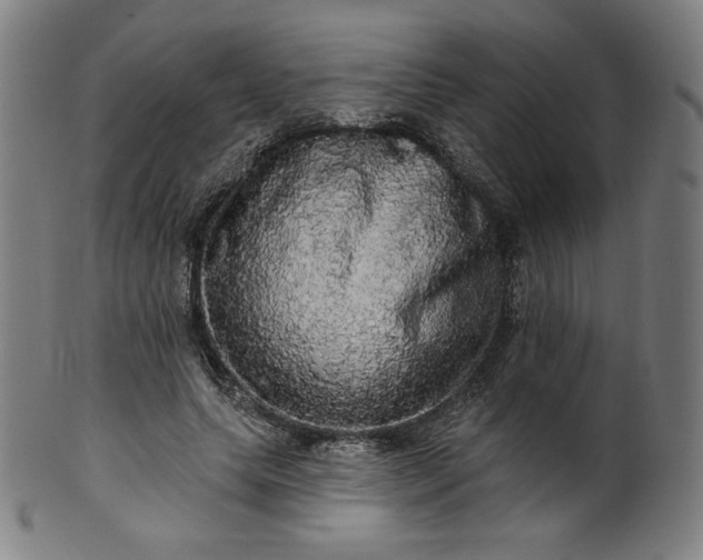 X0000099950639200806061543