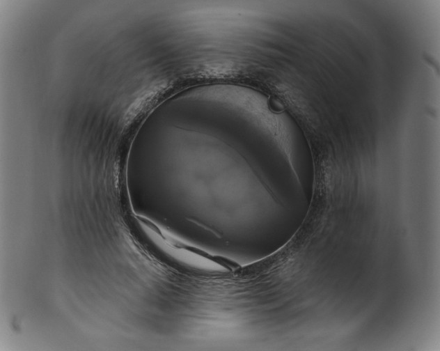 X0000099950640200806061543