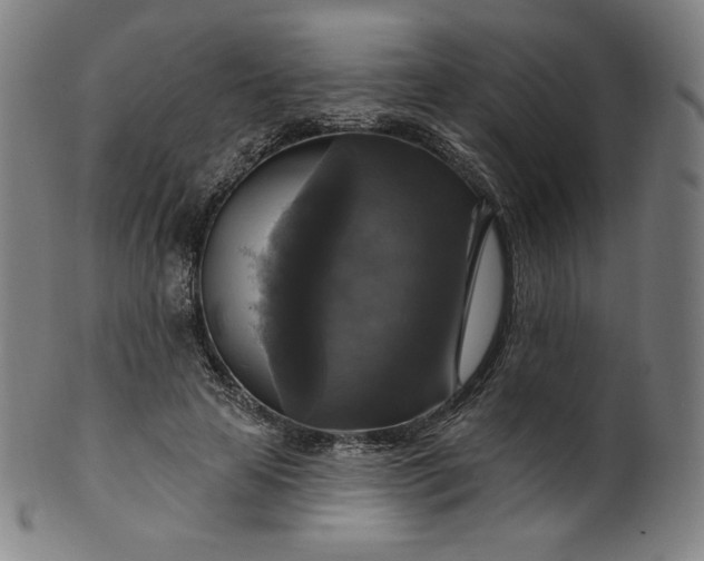 X0000099950641200806061543