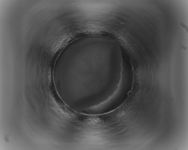 X0000099950642200806061543