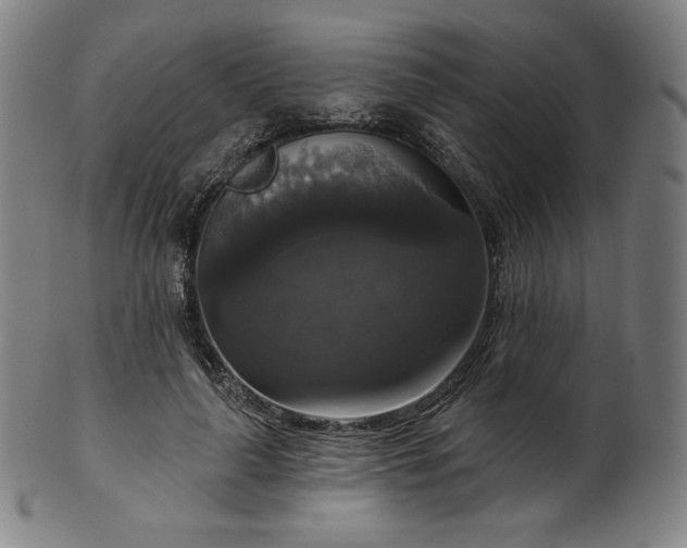 X0000099950643200806061543