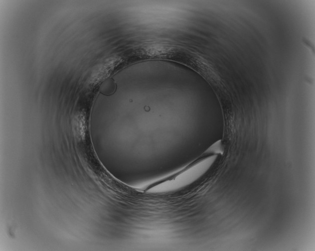 X0000099950644200806061543