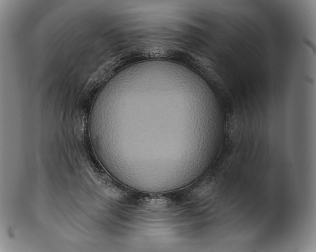 X0000099950645200806061543