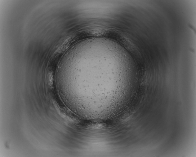 X0000099950646200806061543