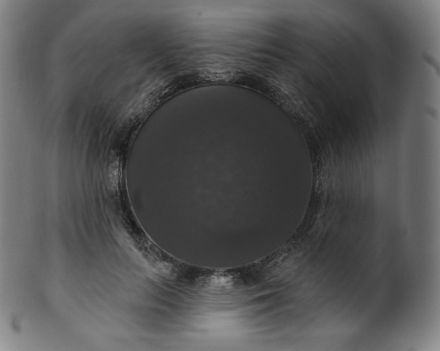 X0000099950647200806061543