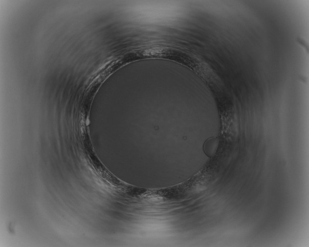 X0000099950648200806061543