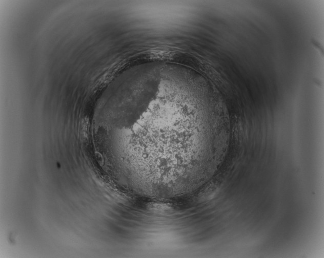 X0000099950649200806061543