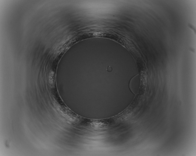 X0000099950650200806061543