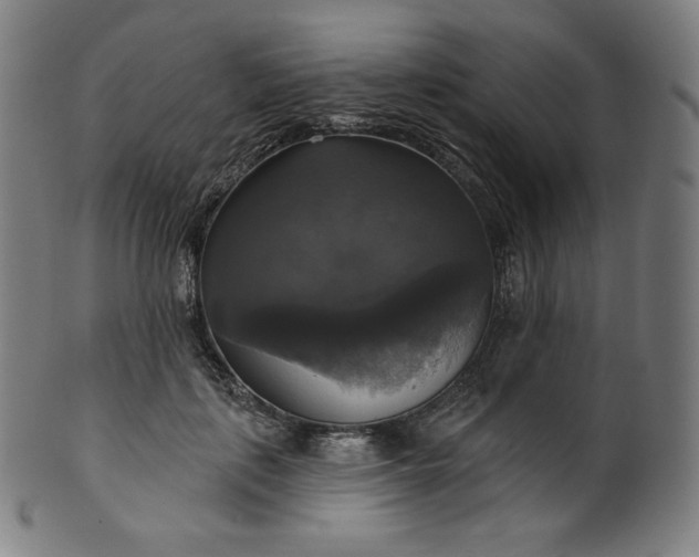 X0000099950651200806061543