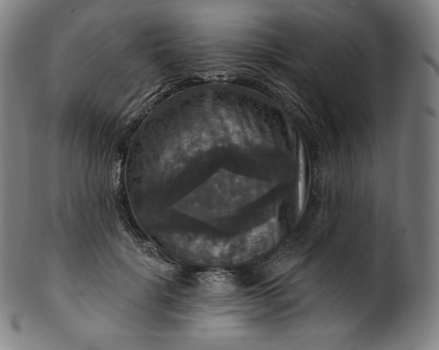 X0000099950652200806061543