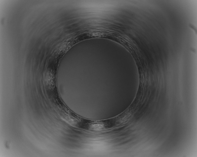 X0000099950653200806061543