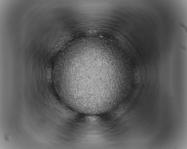 X0000099950654200806061543