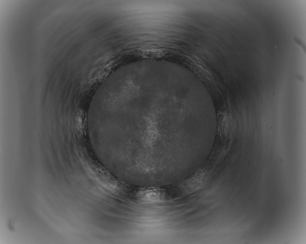 X0000099950655200806061543