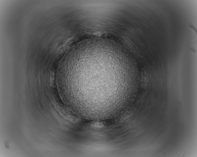 X0000099950656200806061543