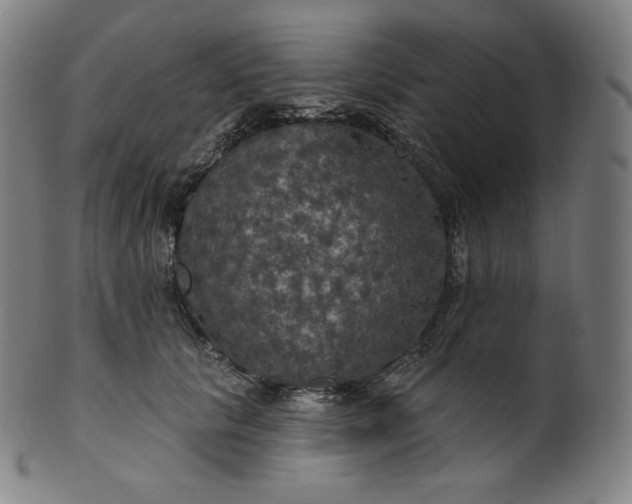 X0000099950657200806061543