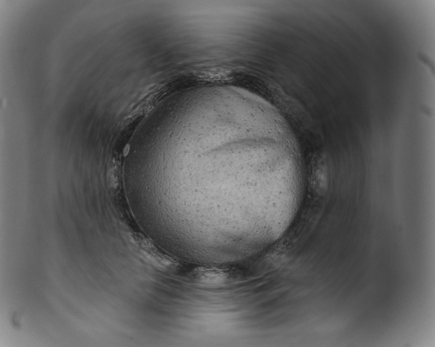 X0000099950658200806061543